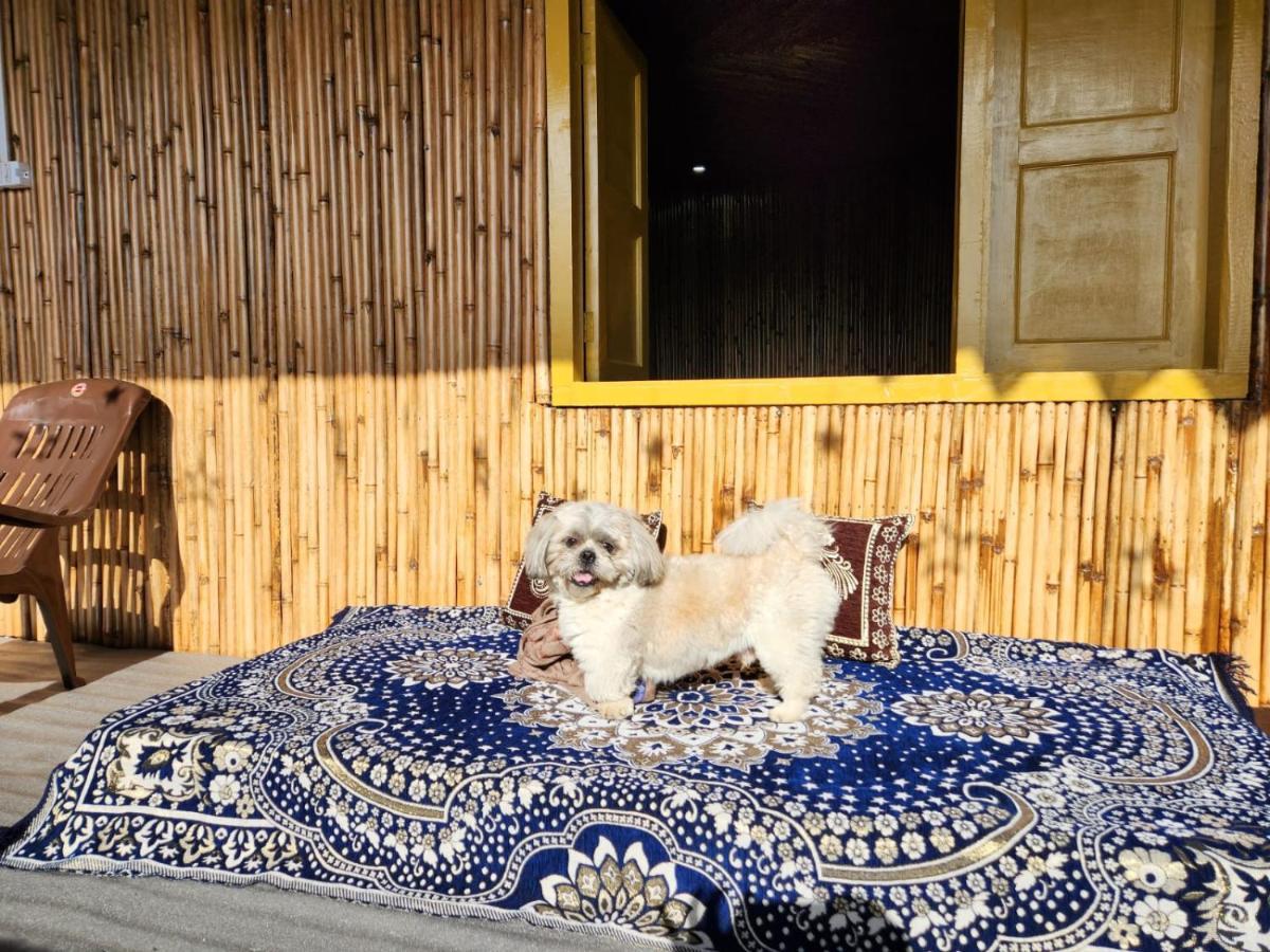 Pahaadi Dhun Homestay Chamba  Exterior photo
